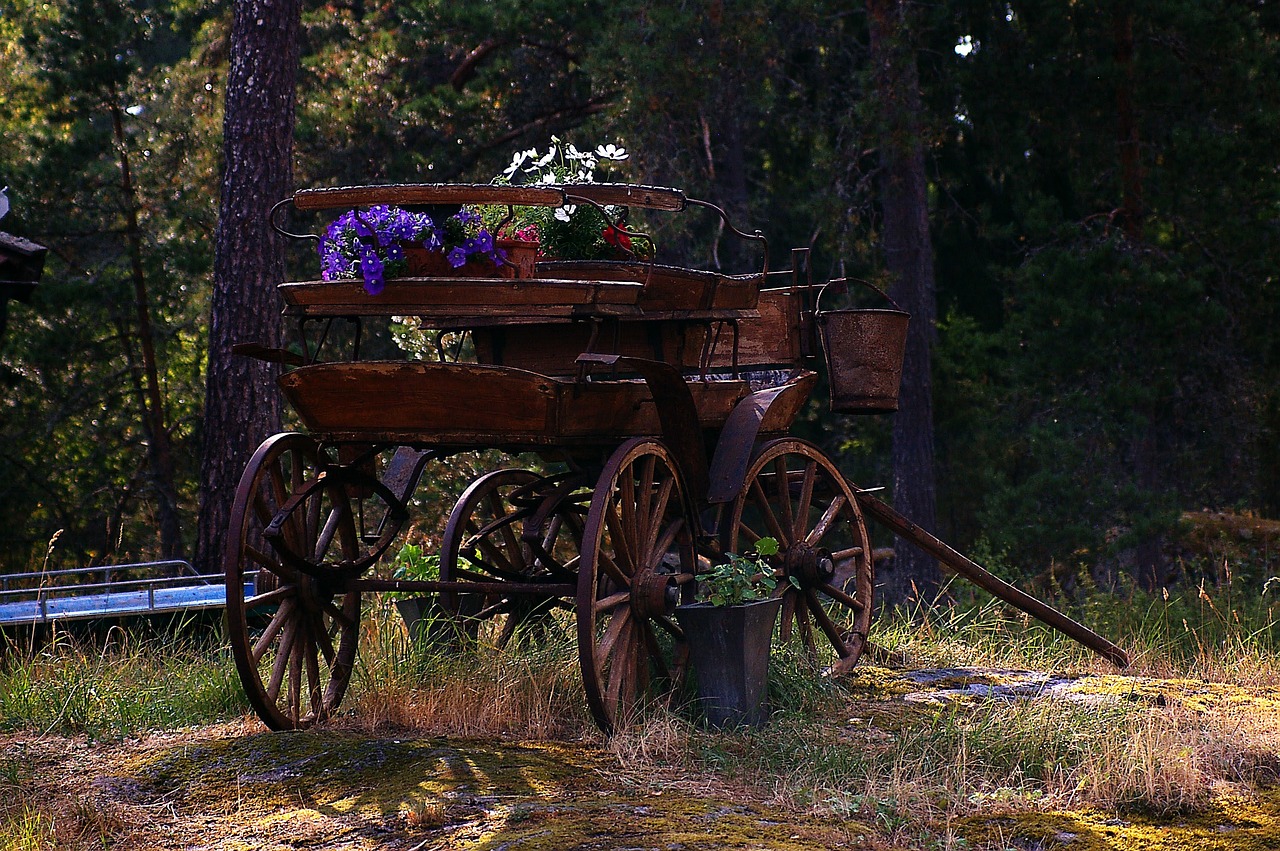 Levande Landskap Uppland